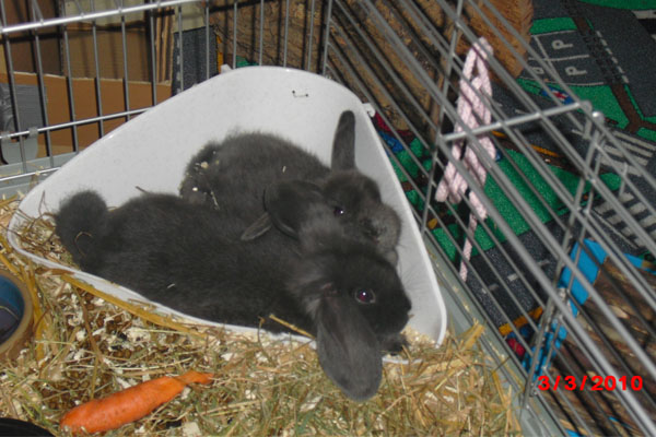 Immer am Kuscheln die beiden ;)