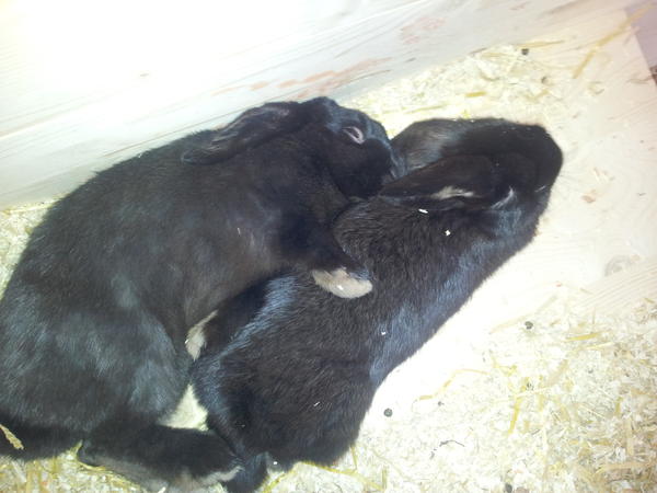 Kuschelstunde