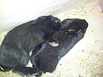 Kuschelstunde