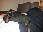 2012 04 04 23.13.50
