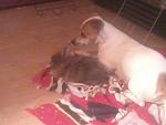 Und noch mal ronja und Mala *R.I.P*