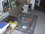 Stallbau 1