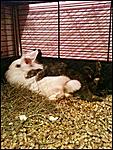 Sunny und Flocke