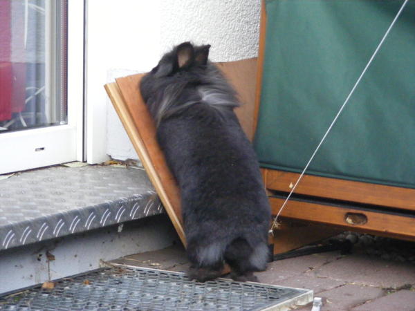 Was da wohl hinter is?