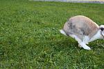 IMG 3863