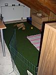 Ihrer Auslauf