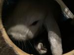 beide in ihrer H�hle