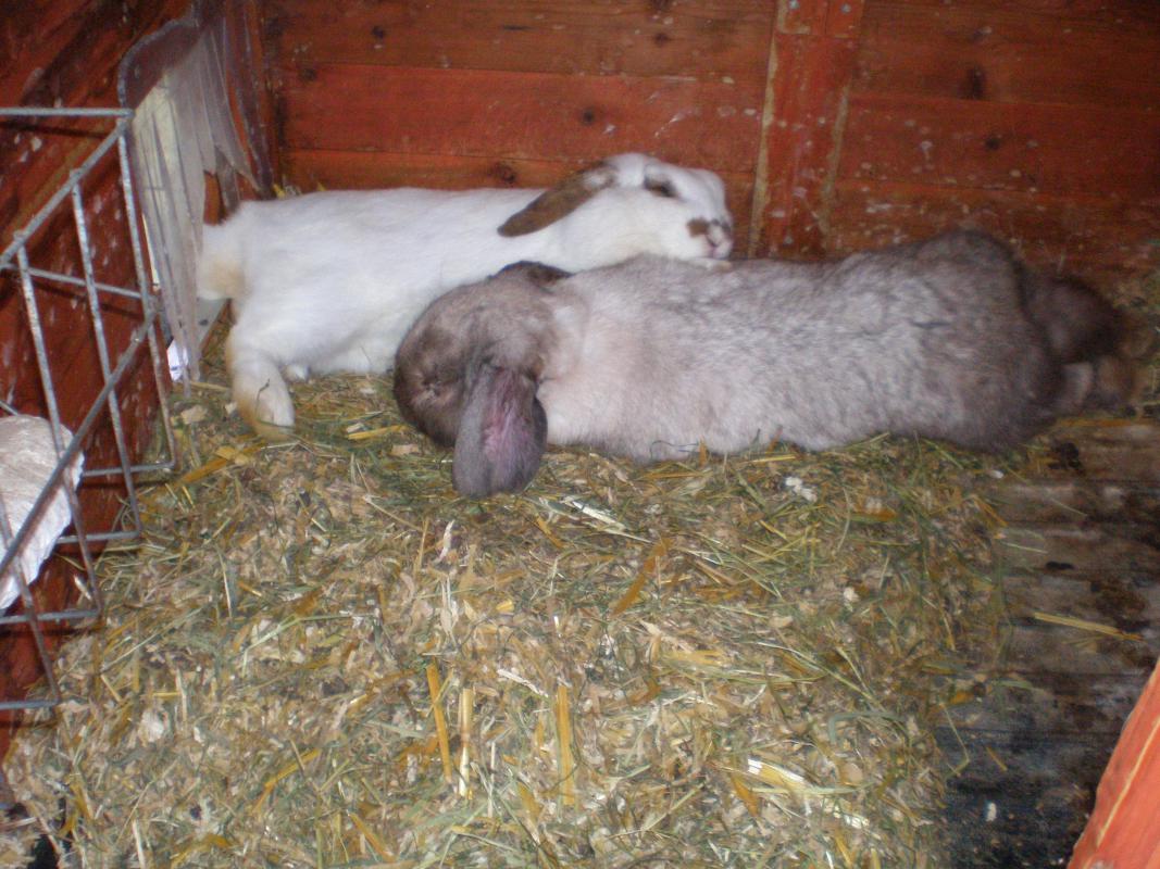 Ida und Ashley