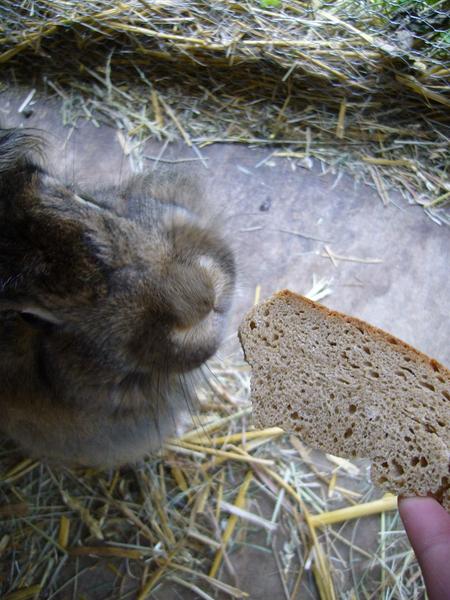 Emma beim essen.
