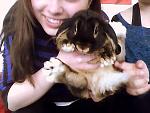 Sammy mit 6 Monaten