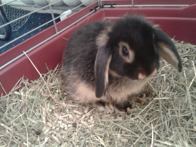 So ein kleiner Kerl ... Sammy!