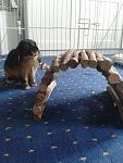 Lust zum spielen ...