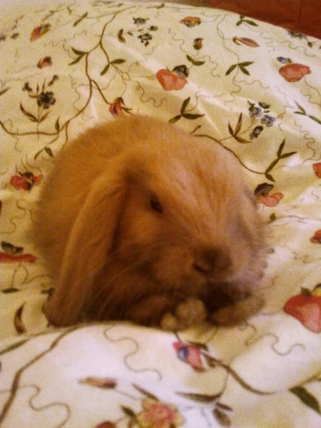 Mein kleines Ei als Baby!! ♥