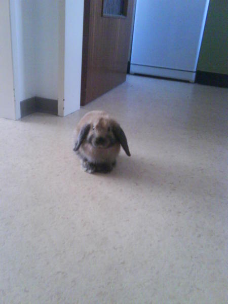 Mein kleines EI :*