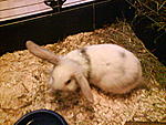 Charlie und sein Propeller :-)