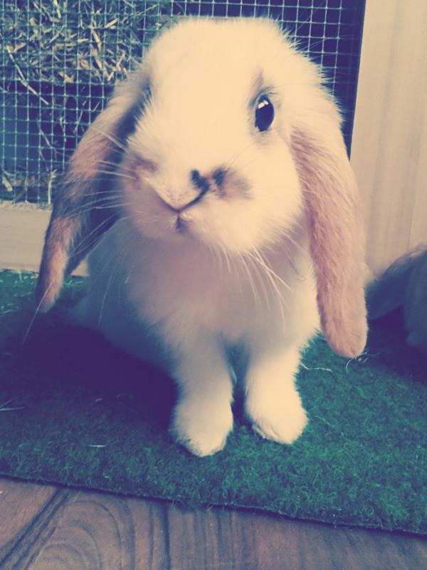 Das war unser Daniel :( Werde dich nie vergessen! R.I.P.
