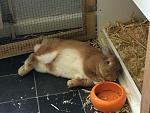 Jacky f�hlt sich glaube ich wohl :)