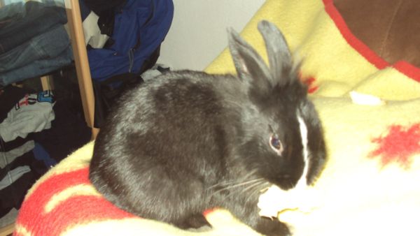 Unser gr��ter Schatz(nach unseren Kindern nat�rlich!)...