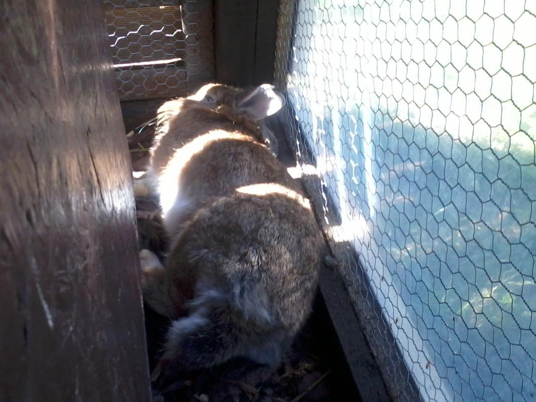 2013 09 04 15.06.21