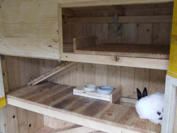 Der integrierte Stall mit knapp 2qm Fl�che auf zwei Ebenen,die durch Rampen verbunden sind.Die T�ren �ffnen weit f�r leichten Zugang beim Saubermachen.Der Boden besteht aus langlebigem Douglasienholz und f�llt ganz leicht schr�g nach hinten ab,wo eine Pipi Rinne anfallende Fl�ssigkeiten durch die R�ckwand nach draussen ableitet.Die obere Etage ist bewusst dunkel,ohne Fenster gehalten.Die Nins lieben ihr Schlafzimmer,das sie an eine H�hle erinnert.