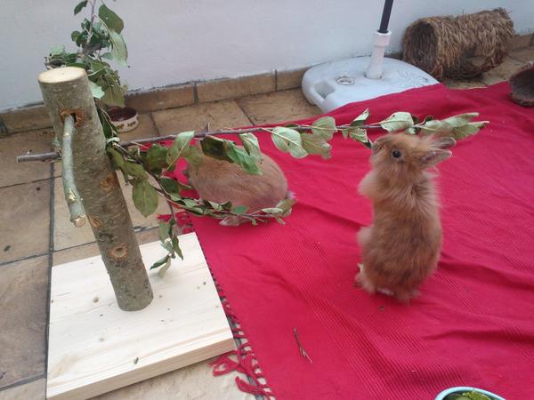 Sunny & Summer auf dem Balkon