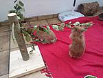 Sunny & Summer auf dem Balkon