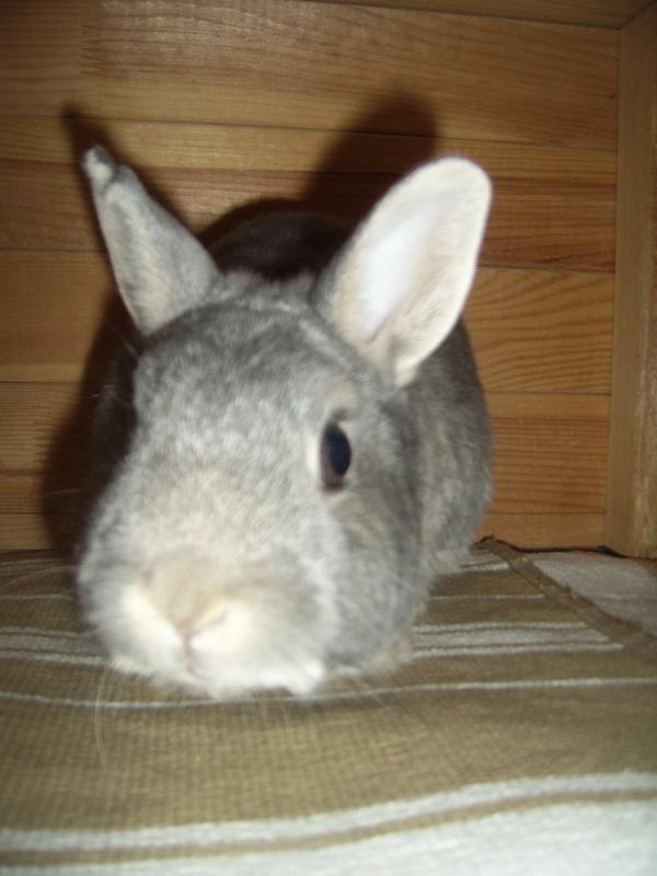 Oskar Gustaf