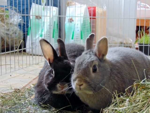 Maja & Oskar Gustaf