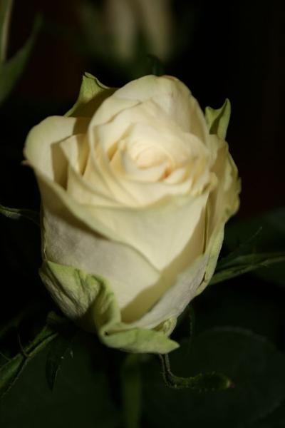 bild 025
