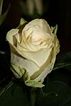 bild 025