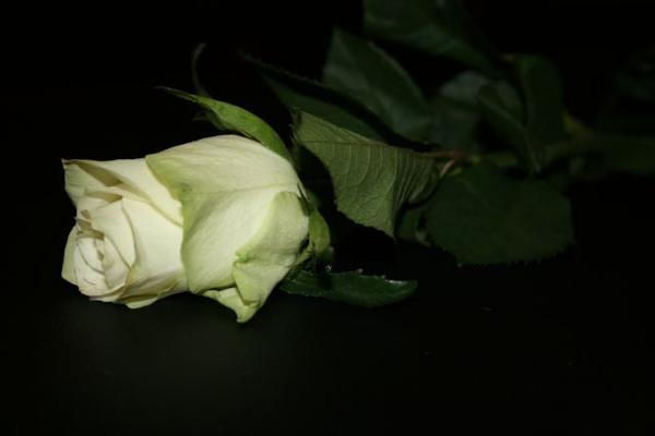 bild 031