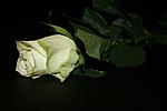 bild 031