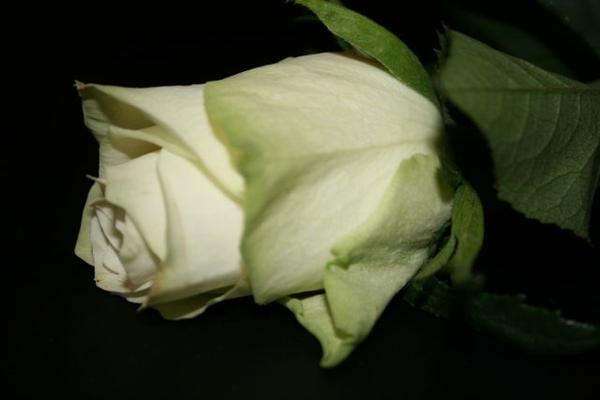 bild 034
