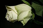bild 034