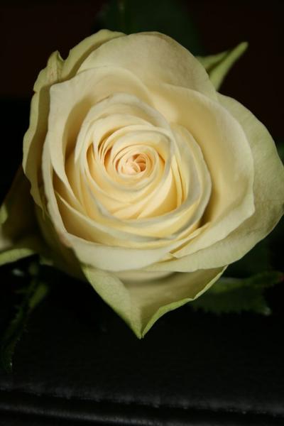 bild 036
