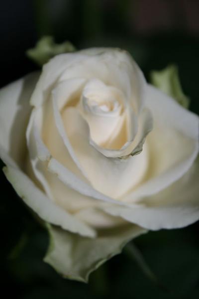 neuer versuch 032