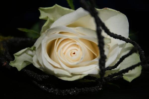 neuer versuch 049