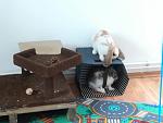 IMG 20180720 WA0023