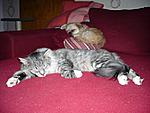Tyson und Ben :-)