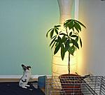 CIMG0344