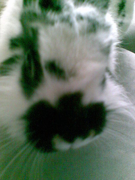 Bild080