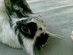 Bild083