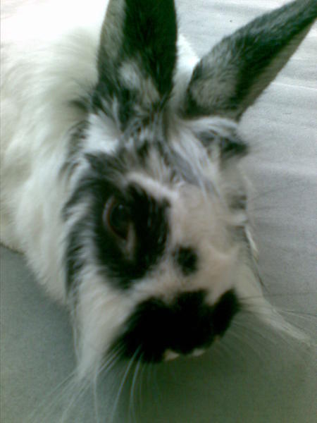 Bild084