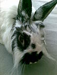 Bild084