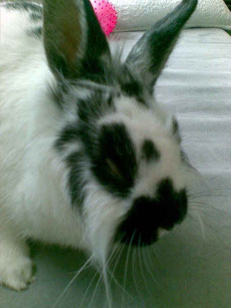 Bild085