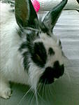 Bild085