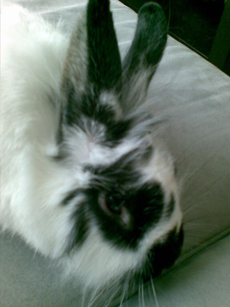 Bild086