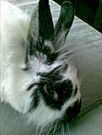 Bild086