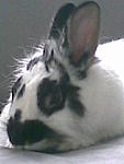 Bild096