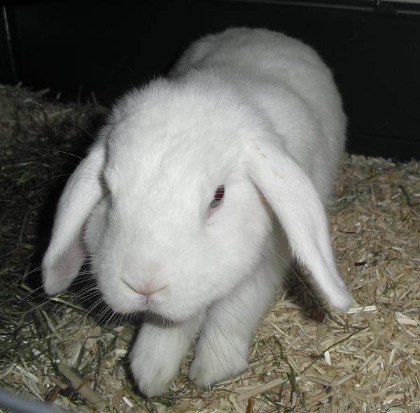 023